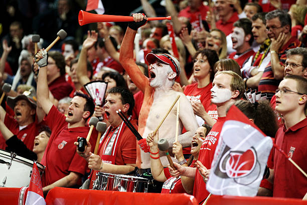 领域却显得 领域却显得